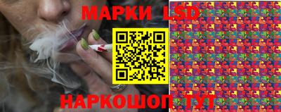 тгк Краснодар