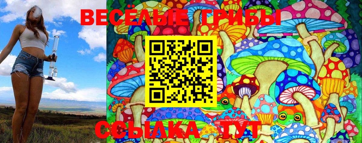 Галлюциногенные грибы Cubensis Кировск